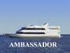 b ambassador